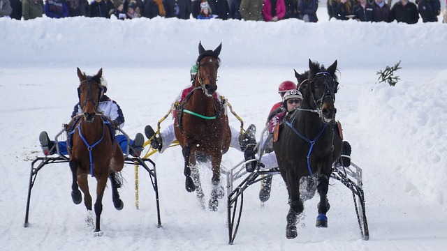 速男篮在过 速男篮在过
