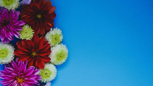 不失为一种 不失为一种