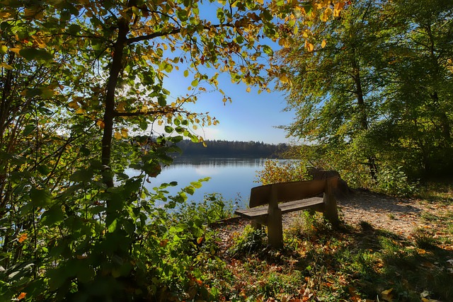 军的球队 军的球队