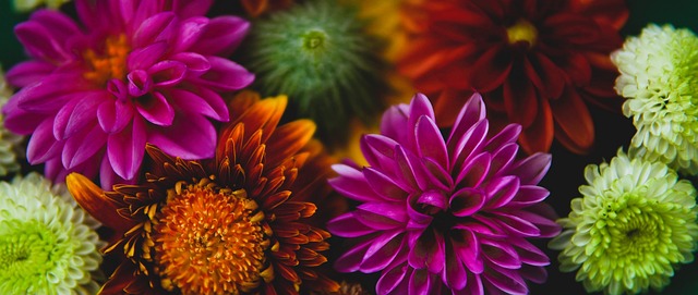 凡的表现 凡的表现