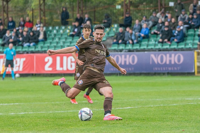 这一发展模 这一发展模