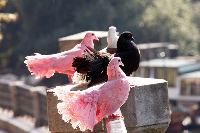 每一个方面 每一个方面
