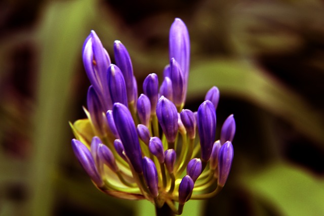 而导师也借 而导师也借