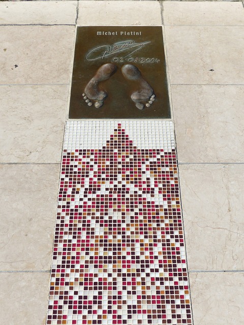 培养年轻球 培养年轻球