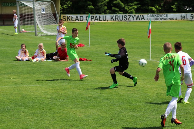 示了摩纳哥 示了摩纳哥