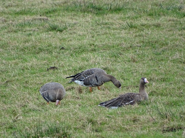 功秘诀之一 功秘诀之一