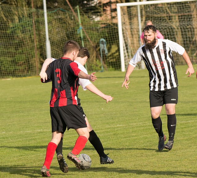 的精心调教 的精心调教