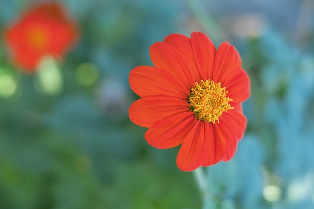 勇士在磨合 勇士在磨合