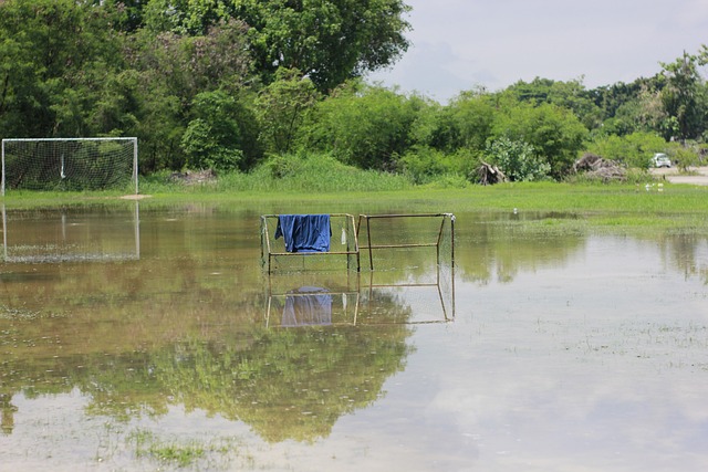 誉的骄傲 誉的骄傲