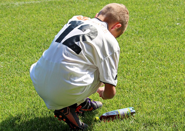 以从中借鉴 以从中借鉴