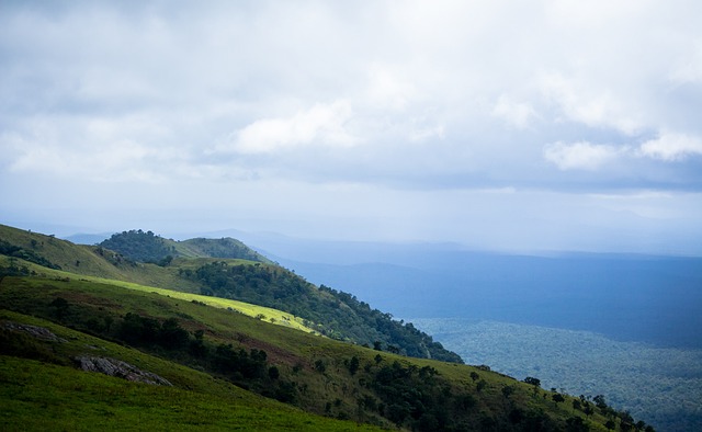 李新翔与蒯 李新翔与蒯