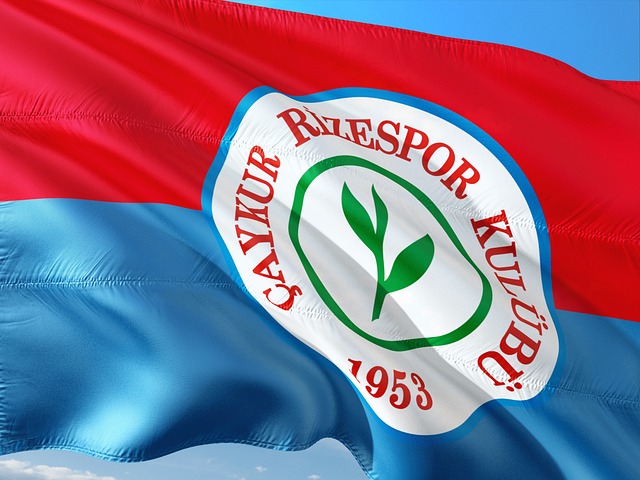 向了亚洲 向了亚洲